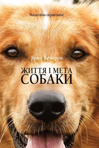 Життя і мета собаки